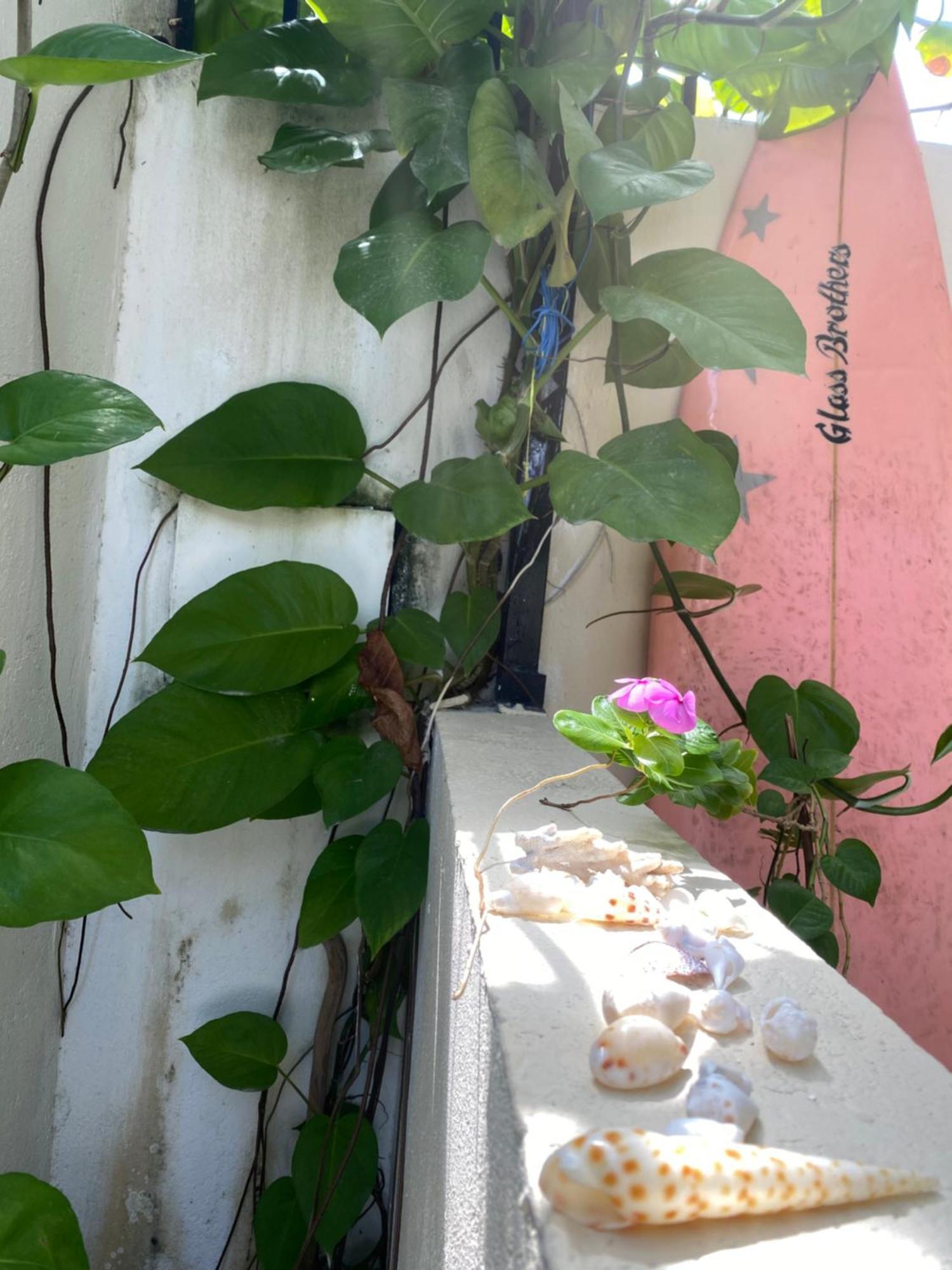 Maavaharu Guest House הימפושי מראה חיצוני תמונה