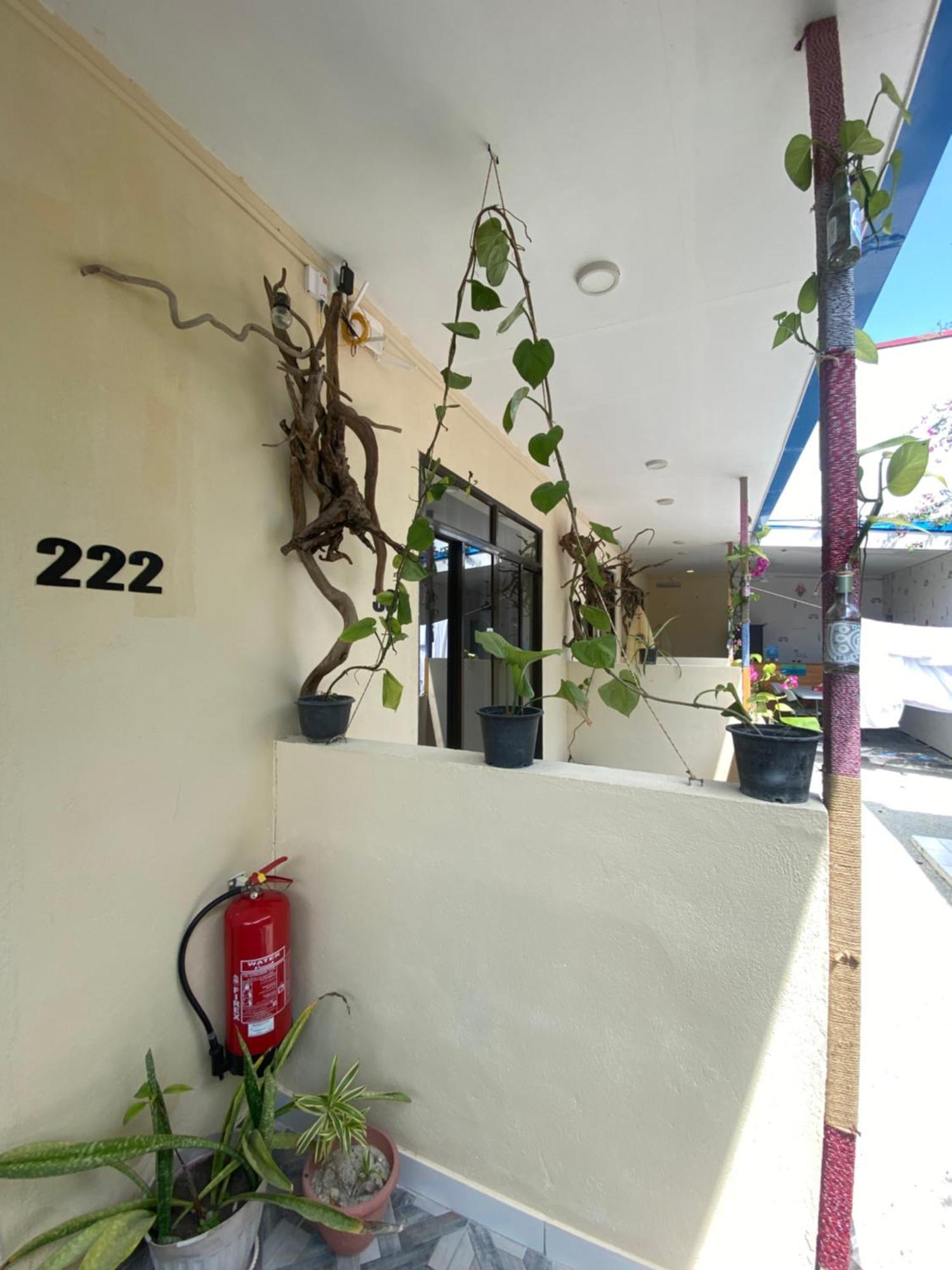 Maavaharu Guest House הימפושי מראה חיצוני תמונה
