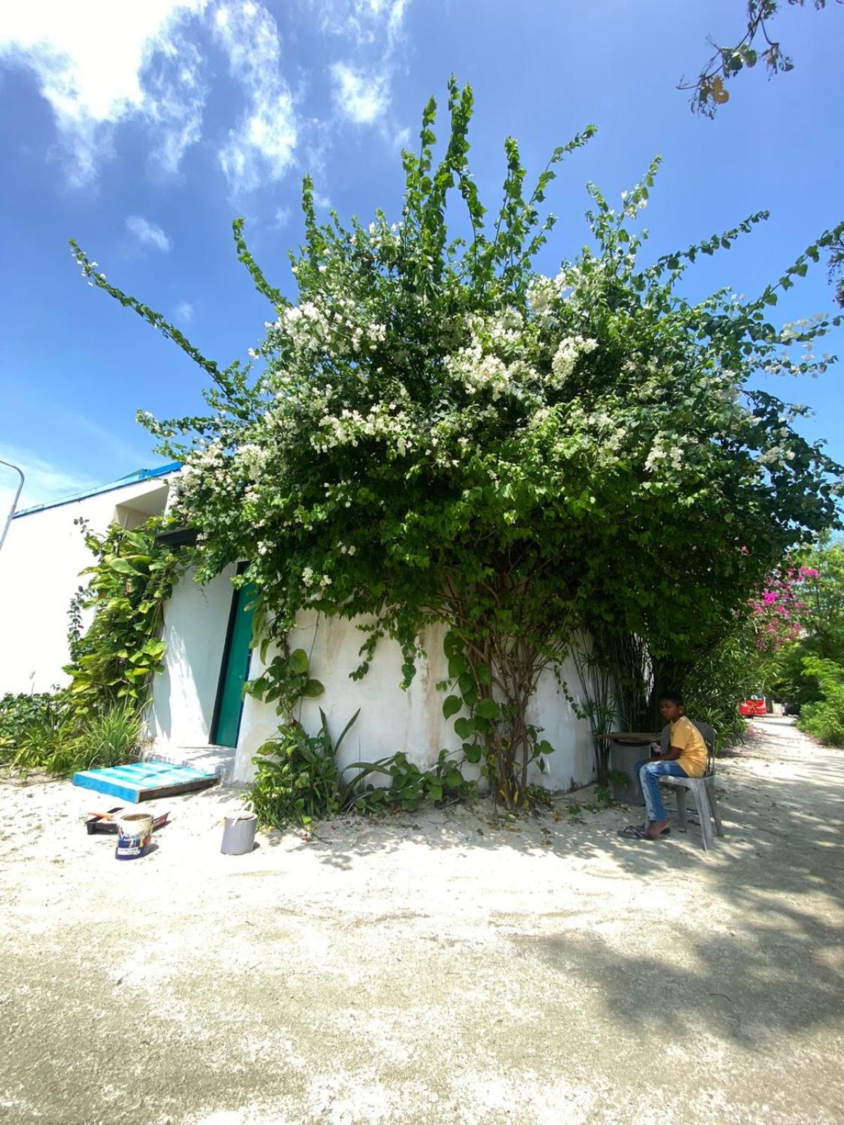 Maavaharu Guest House הימפושי מראה חיצוני תמונה